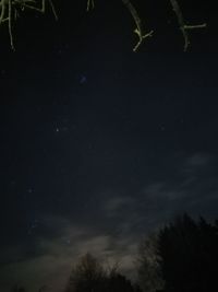 Low angle view of silhouette trees against sky at night