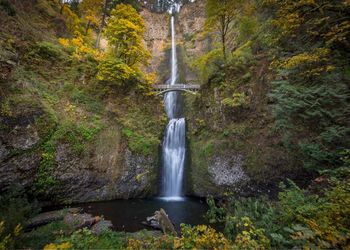 Waterfall in forest