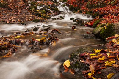 River flowing through rocks