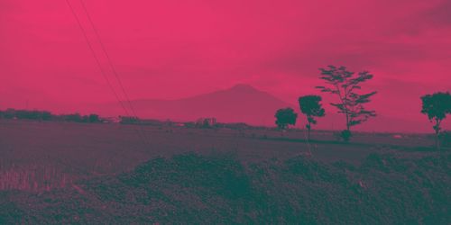 Scenic view of field against sky during sunset