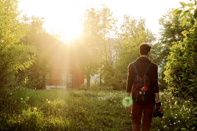 Rear view of man walking by trees against sky on sunny day