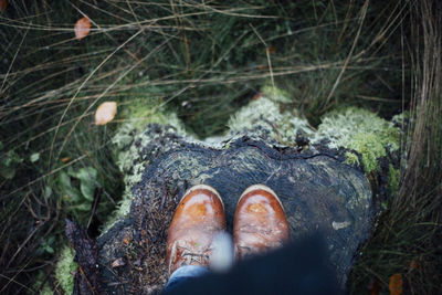 Low section of person standing on tree stump