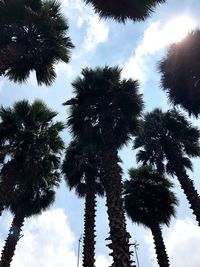 Low angle view of coconut palm trees against sky