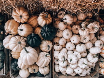 High angle view of pumpkins for sale in market