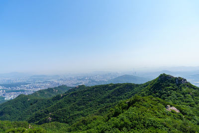 environment