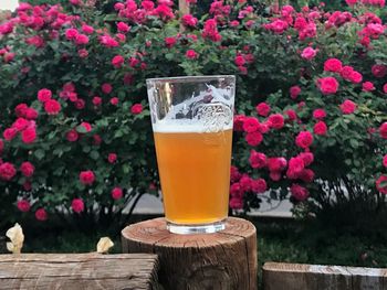 Close-up of drink on glass at table