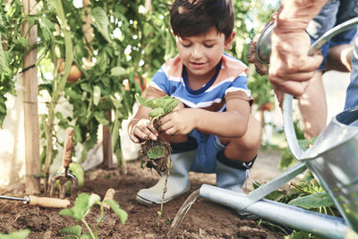 Boys looking away while holding plants