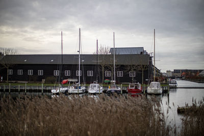 Sailboats moored at harbor against sky