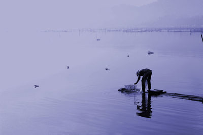 Birds swimming in lake