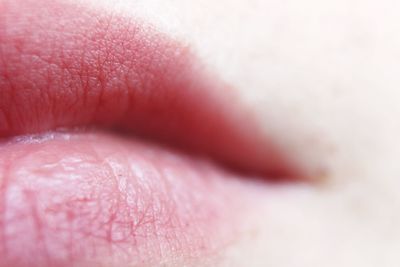 Close-up of human lips