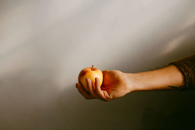 Close-up of hand holding fruit against white background