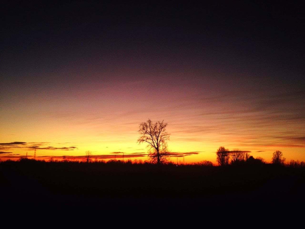 sunset, silhouette, tranquil scene, tranquility, scenics, landscape, beauty in nature, tree, sky, orange color, nature, bare tree, idyllic, field, dark, copy space, horizon over land, non-urban scene, no people, outdoors