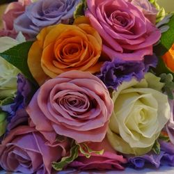 Close-up of rose bouquet