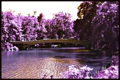 Bridge over river