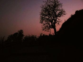 Silhouette of trees at sunset