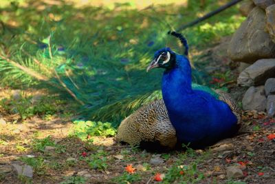 Close-up of black and white background
