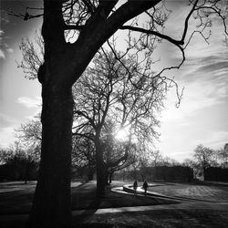 Bare trees against sky during sunset