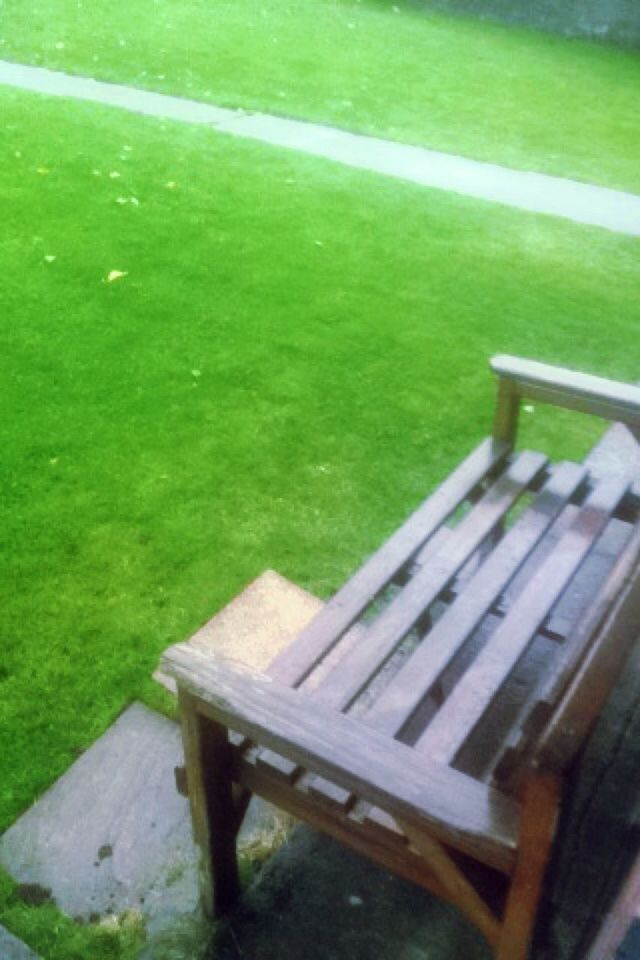 grass, bench, green color, wood - material, empty, wooden, absence, high angle view, railing, park bench, tranquility, field, grassy, nature, park - man made space, wood, green, day, outdoors, chair