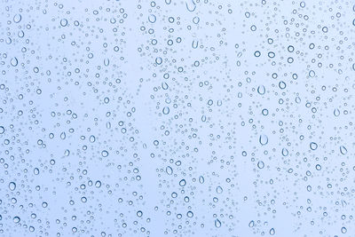 Flock of birds flying against blue sky seen through wet window