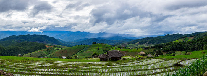 Scenic view of agricultural field against sky