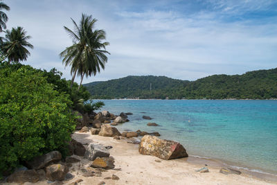 Scenic view of sea against sky