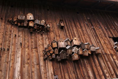 Bird houses on house wall 