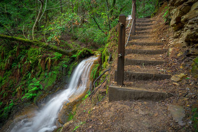 View of waterfall in forest