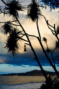 Silhouette palm tree by sea against sky