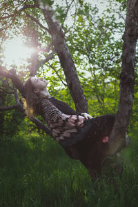 Wrapped with shawl lady lying on tree trunk scenic photography