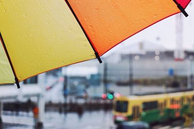 Close-up of yellow flowers