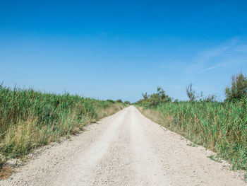 Dirt road amidst plants against sky