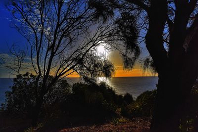 Silhouette bare tree by lake against sky during sunset