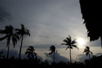 Low angle view of silhouette palm trees against sky