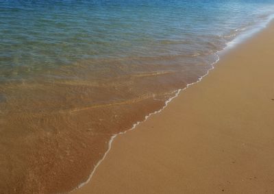 High angle view of beach