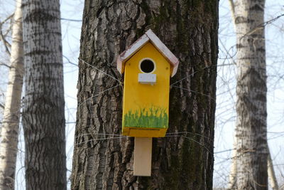 Close-up of birdhouse on tree trunk