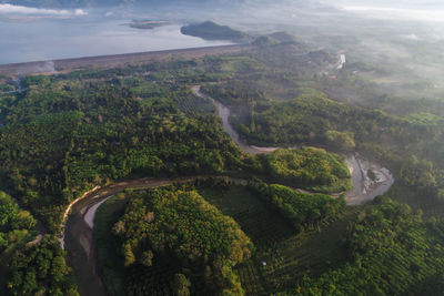 High angle view of trees on landscape against sky