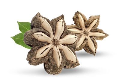 Close-up of fruit against white background