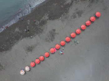 High angle view of parasols at beach