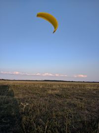 Scenic view of field against clear sky