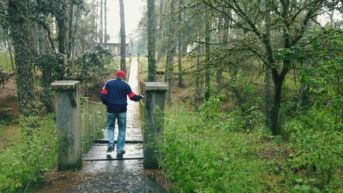 Rear view of man and woman walking on tree