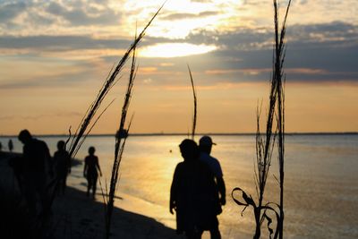 Sunset over sea