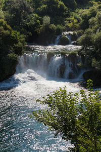 Scenic view of waterfall in forest