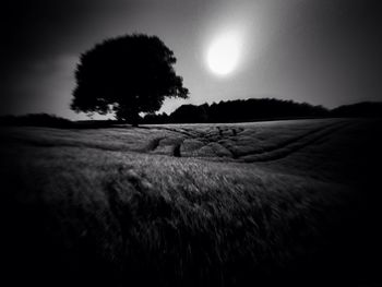 Scenic view of grassy field against sky at sunset