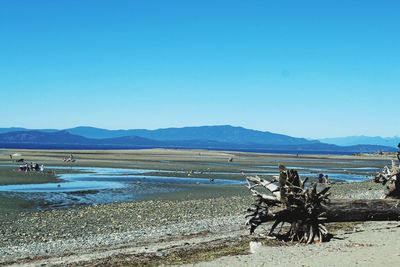 Scenic view of beach against clear blue sky