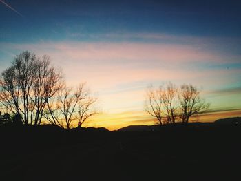 Silhouette trees against sky at sunset