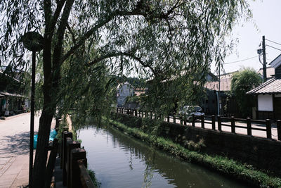 Canal amidst trees and buildings in city