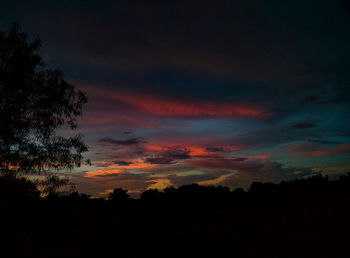 Silhouette trees against sky at sunset