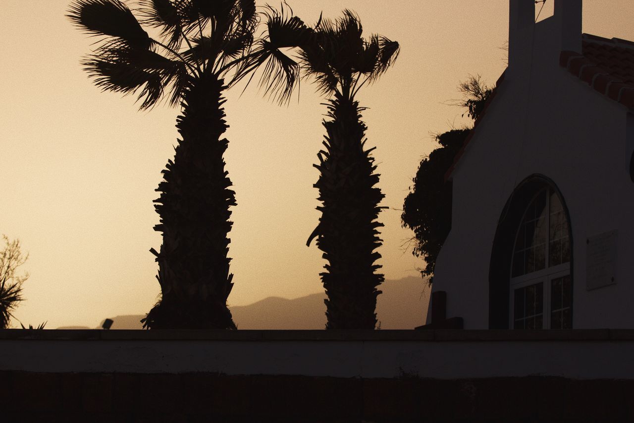 tree, built structure, architecture, palm tree, building exterior, no people, sunset, outdoors, growth, sky, nature, day