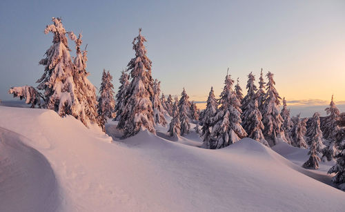 Snow covers lot