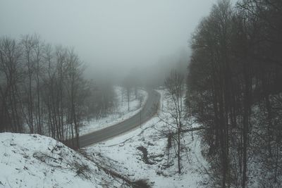 Bare trees on snow covered landscape